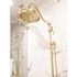 Kingston Brass 2-Handle 1-Spray Shower Claw Foot Tub Faucet with Handshower in Polished Brass (Valve Included)