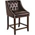 Carnegy Avenue 24 in. Brown Leather Bar Stool