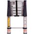 15.5 ft. Aluminum Telescoping Extension Ladder (19.5 Reach Height), 250 lbs. Load Capacity ANSI Type I Duty Rating