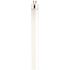 Satco 13-Watt 21 in. Linear T5 Miniature Bi Pin Base Fluorescent Tube Light Bulb in Cool White (10-Pack)