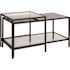 Carnegy Avenue 54 in. Clear/Black Large Rectangle Glass Coffee Table with Shelf