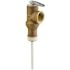 Rheem PROTECH Temperature and Pressure Relief Valve
