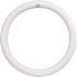 Feit Electric 12 in. 32-Watt Equivalent T9 LED Circline Circular Linear Light Bulb Cool White (1-Bulb)