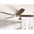 Home Decorators Collection Ashby Park 52" Led Brushed Nickel Ceiling Fan
