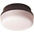 LiteCo Integrated LED Bug Resistant Outdoor Flush Mount Ceiling Fixture