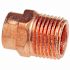 NIBCO 1 in. Wrot Copper Sweat x Male Adapter Fitting(10-Pack)