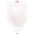Gerber Plumbing Layfayette Top Spud 0.5 and 1.0 GPF Urinal in White