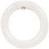Feit Electric 8 in. 15-Watt (22-Watt Equivalent) T9 Cool White 4100K G10Q Circline LED Light Bulb