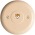 Westek Ivory 1-Gang Phone Jack Wall Plate (10-Pack)