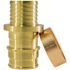 Apollo 1/2 in. Brass PEX-A Barb x Polybutylene Coupling