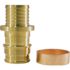 Apollo 1/2 in. Brass PEX-A Barb x Polybutylene Coupling