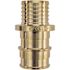 Apollo 3/4 in. Brass PEX-A Barb x Polybutylene Coupling