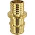 Apollo 3/4 in. Brass PEX-A Barb x Polybutylene Coupling