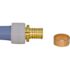 Apollo 3/4 in. Brass PEX-A Barb x Polybutylene Coupling