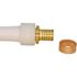 Apollo 3/4 in. Brass PEX-A Barb x Polybutylene Coupling