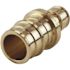 Apollo 1/2 in. x 3/4 in. Brass PEX-A Reducing Barb Coupling