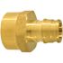 Apollo 1/2 in. Brass PEX-A Barb x 1/2 in. FNPT Female Adapter