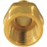 Apollo 1/2 in. Brass PEX-A Barb x 1/2 in. FNPT Female Adapter