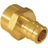 Apollo 1/2 in. Brass PEX-A Barb x 1/2 in. FNPT Female Adapter