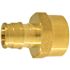 Apollo 1/2 in. Brass PEX-A Barb x 1/2 in. FNPT Female Adapter