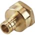 Apollo 1/2 in. Brass PEX-A Barb x 3/4 FNPT Reducing Female Adapter