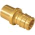 Apollo 1/2 in. Brass PEX-A Barb x 1/2 in. Male Sweat Adapter