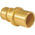 Apollo 1/2 in. Brass PEX-A Barb x 1/2 in. Male Sweat Adapter