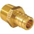 Apollo 1/2 in. Brass PEX-A Barb x 1/2 in. MNPT Male Adapter