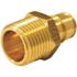 Apollo 1/2 in. Brass PEX-A Barb x 1/2 in. MNPT Male Adapter