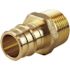 Apollo 3/4 in. Brass PEX-A Barb x 3/4 in. MNPT Male Adapter