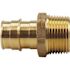 Apollo 3/4 in. Brass PEX-A Barb x 3/4 in. MNPT Male Adapter