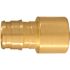 Apollo 1/2 in. Brass PEX-A Barb x 1/2 in. Female Sweat Adapter