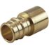 Apollo 3/4 in. Brass PEX-A Barb x 3/4 in. Female Sweat Adapter