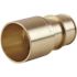 Apollo 3/4 in. Brass PEX-A Barb x 3/4 in. Female Sweat Adapter