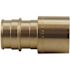 Apollo 3/4 in. Brass PEX-A Barb x 3/4 in. Female Sweat Adapter