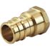 Apollo 3/4 in. Brass PEX-A Barb x 1/2 in. FNPT Female Adapter