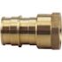 Apollo 3/4 in. Brass PEX-A Barb x 1/2 in. FNPT Female Adapter