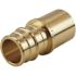 Apollo 3/4 in. Brass PEX-A Barb x 3/4 in. Male Sweat Adapter