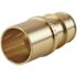 Apollo 3/4 in. Brass PEX-A Barb x 3/4 in. Male Sweat Adapter