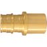 Apollo 3/4 in. Brass PEX-A Barb x 3/4 in. Male Sweat Adapter