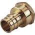 Apollo 3/4 in. Brass PEX-A Barb x 3/4 in. FNPT Female Adapter