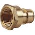 Apollo 3/4 in. Brass PEX-A Barb x 3/4 in. FNPT Female Adapter