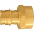 Apollo 3/4 in. Brass PEX-A Barb x 3/4 in. FNPT Female Adapter