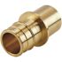 Apollo 1 in. Brass PEX-A Barb x 1 in. Male Sweat Adapter