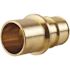 Apollo 1 in. Brass PEX-A Barb x 1 in. Male Sweat Adapter