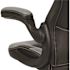 Gray/Black X10 High-Back Leather Soft Gaming Chair with Headrest and Flip-Up Arms, Ergonomic Racing Style Computer Chair