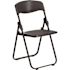 Carnegy Avenue Black Plastic Seat with Metal Frame Folding Chair (Set of 2)