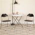 Carnegy Avenue Black Metal Folding Chair (2-Pack)