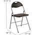 Carnegy Avenue Black Metal Folding Chair (2-Pack)