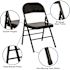 Carnegy Avenue Black Metal Folding Chair (2-Pack)